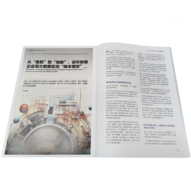 颠覆传统，揭秘业界新宠——数智分析平台！