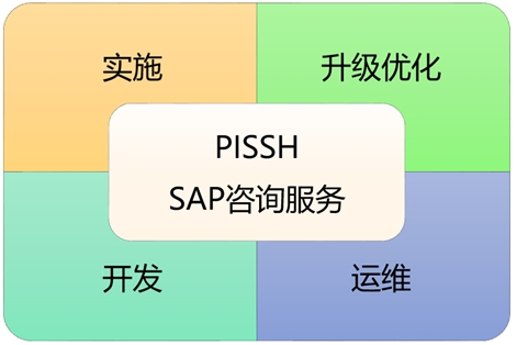 SAP实施、开发和运维一体化服务